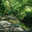 Scenery Montville Duchek 5641